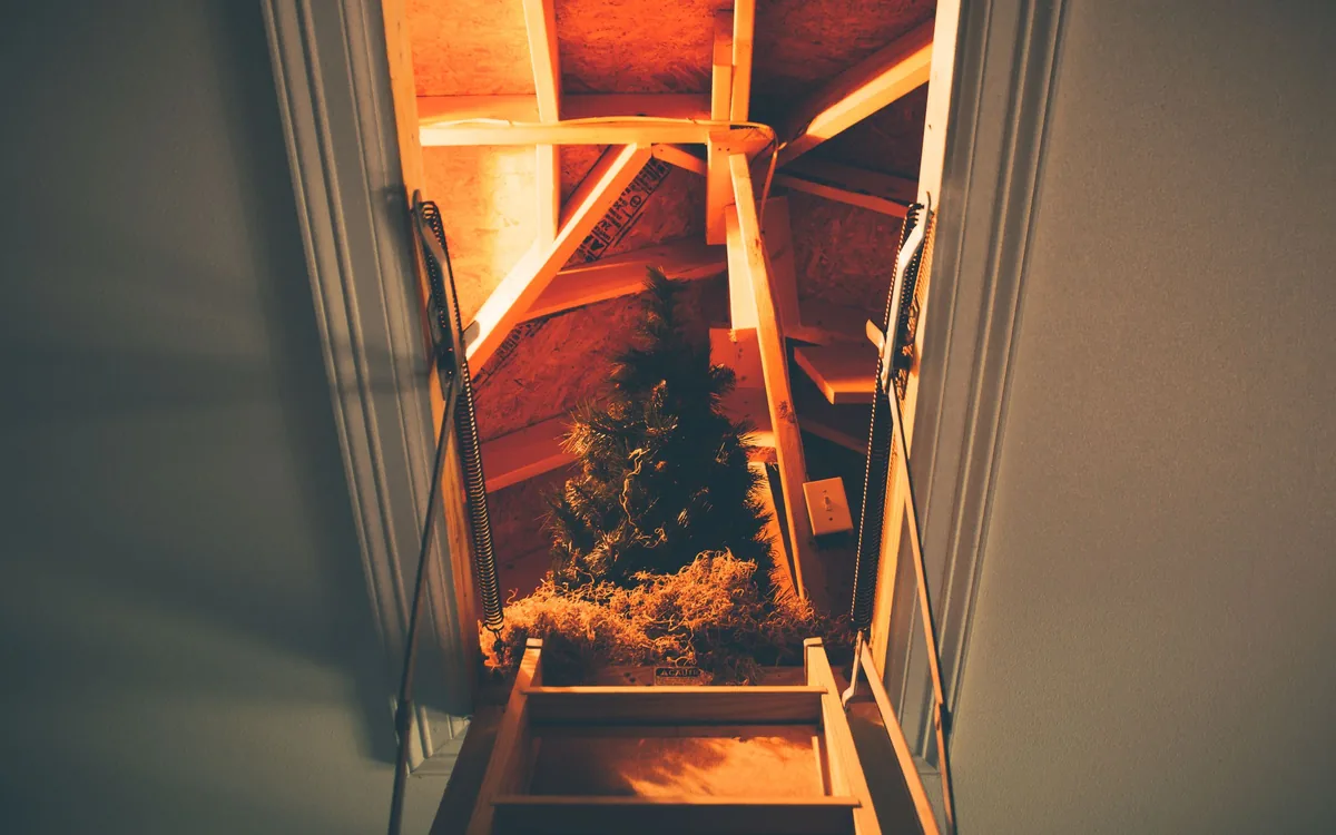 Pull-down attic stairs open to an unfinished attic with stored holiday decorations, seen from the hallway below