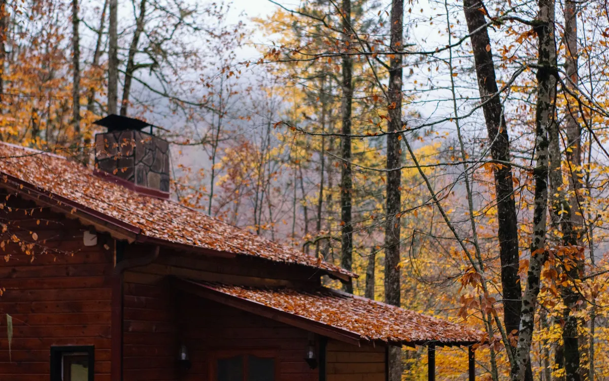 Cabin roof and chimney surrounded by fall trees