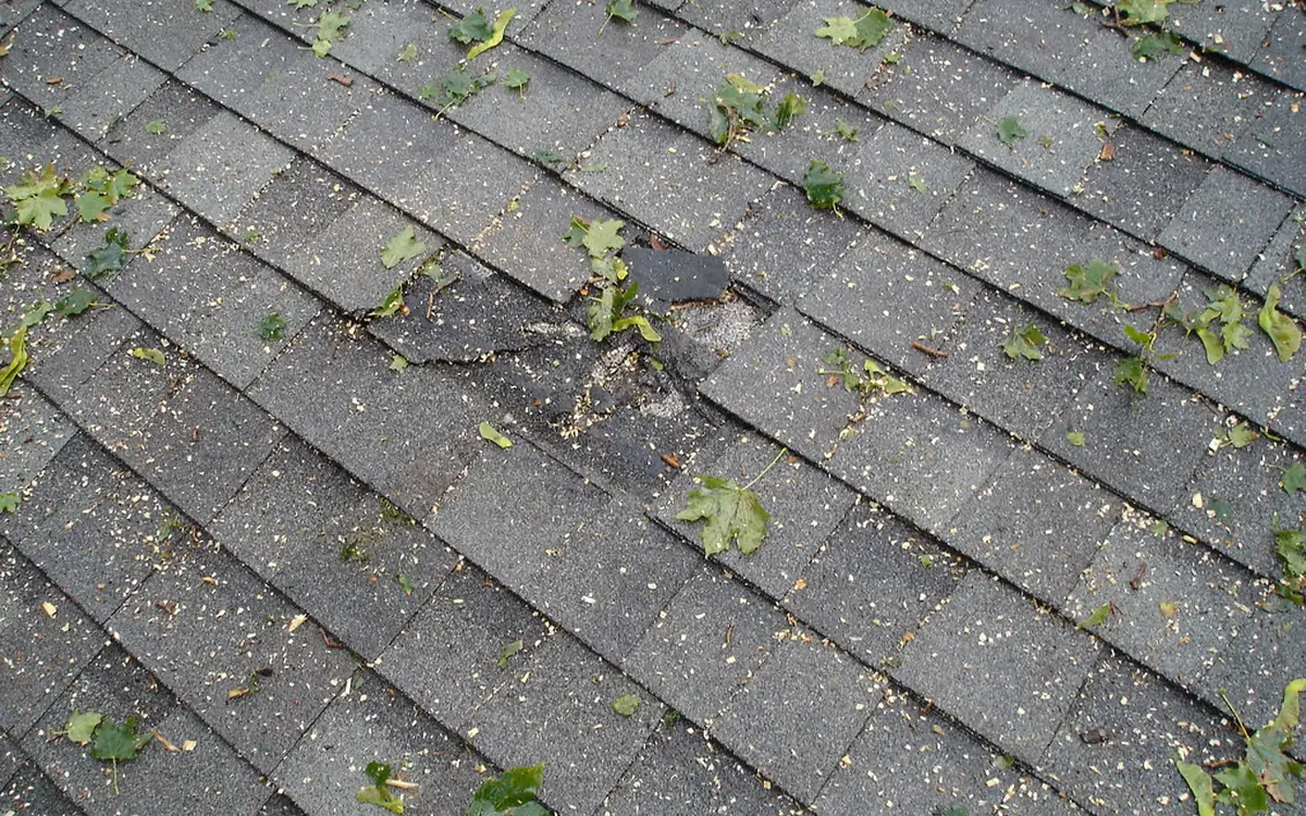 Worn asphalt shingles with a damaged tab and storm debris
