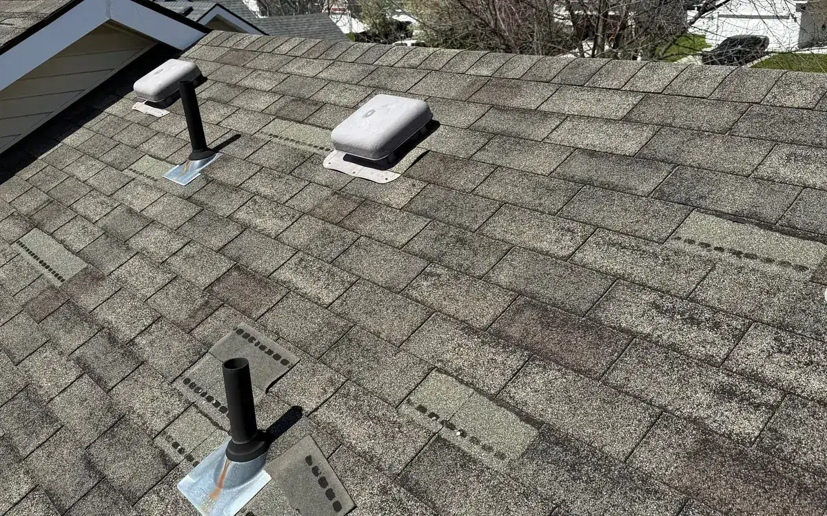 Asphalt shingle roof with missing shingle tabs after a windstorm