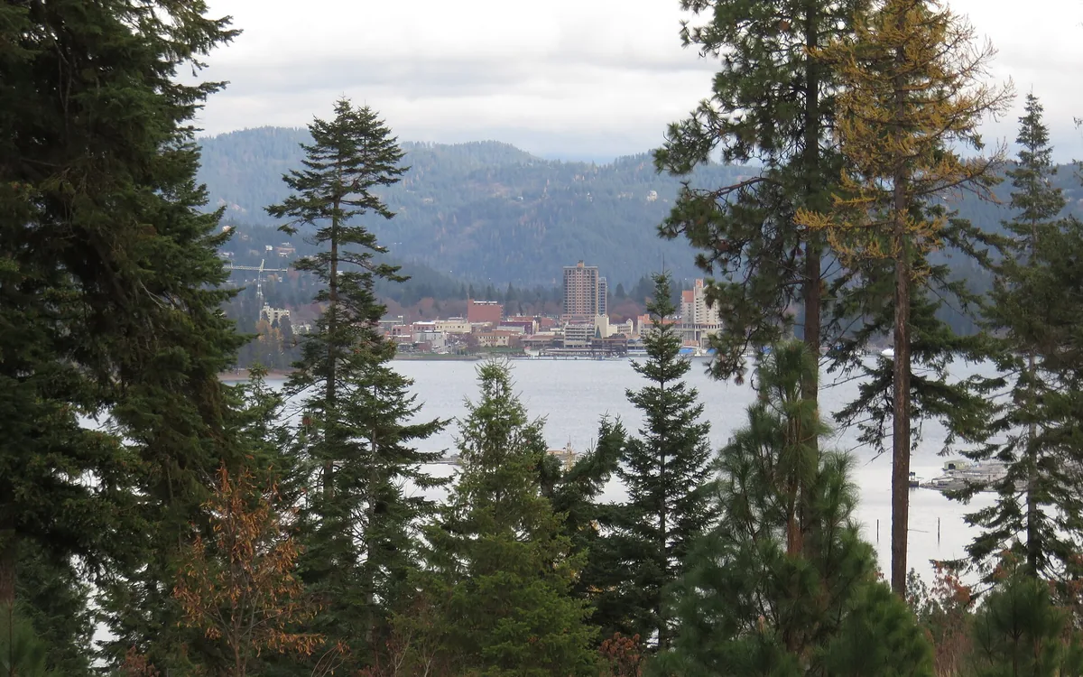 Downtown Coeur d'Alene and Lake Coeur d'Alene seen through pine trees, with forested hills behind