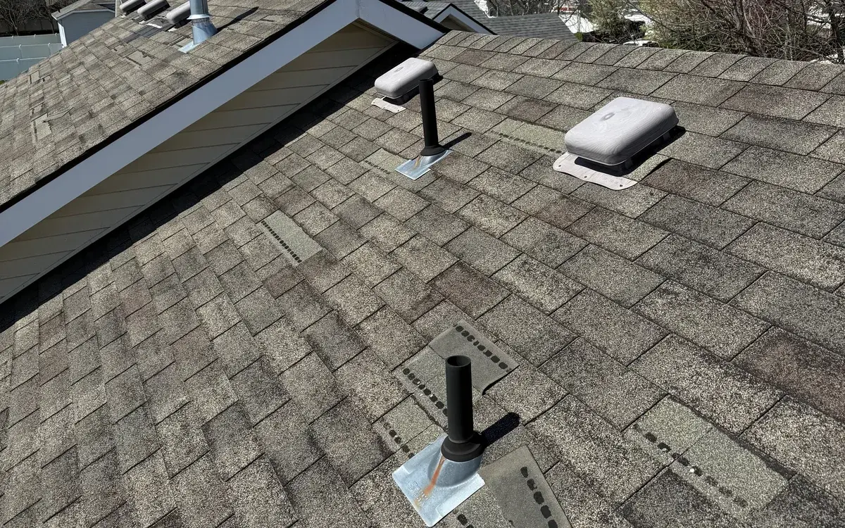 Asphalt shingle roof with box vents, plumbing vent pipes, and several damaged shingles